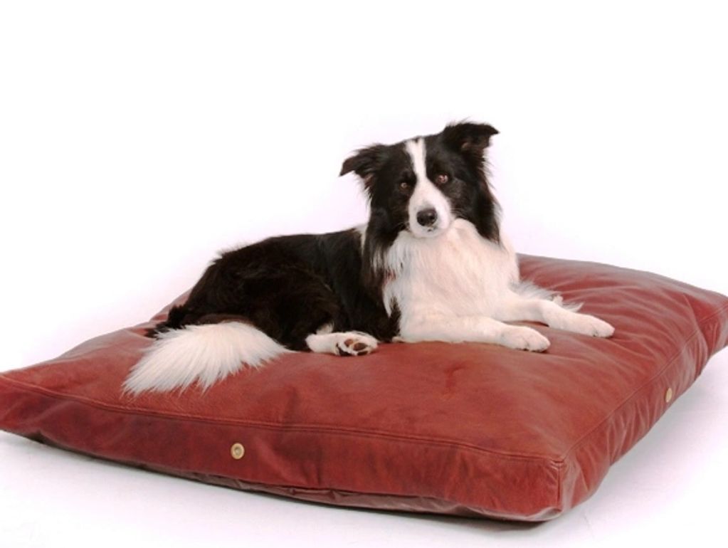 leather dog beds